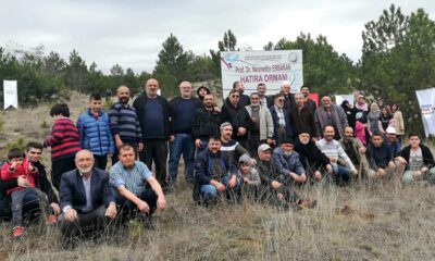 MİLLİ GÖRÜŞ KURULUŞLARI FİDAN DİKTİ