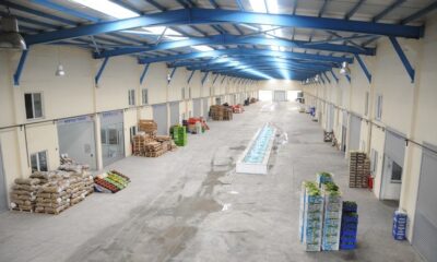 SEBZE HALİNDE KORONAVİRÜS DÜZENLEMESİ