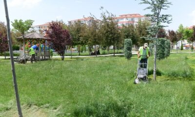PARK VE YEŞİL ALANLAR TEMİZLENDİ