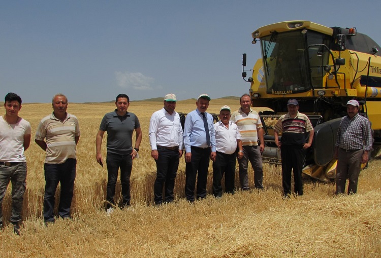 BİÇERDÖVERLE ÜRÜN HASADI BAŞLADI