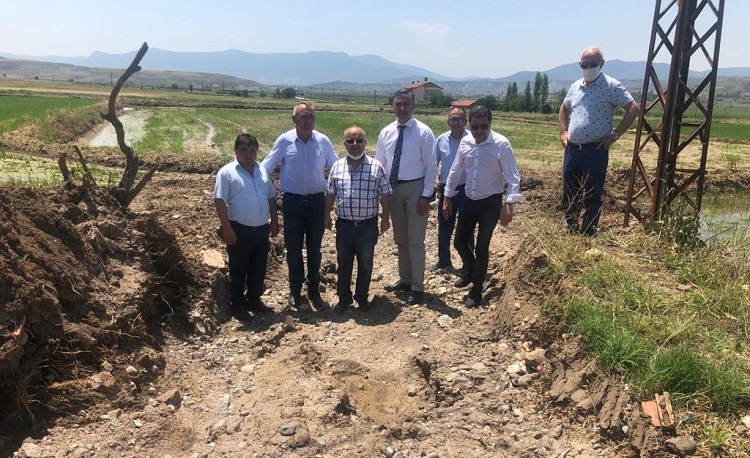 ÇELTİK ÜRETİCİLERİ ZOR DURUMDA