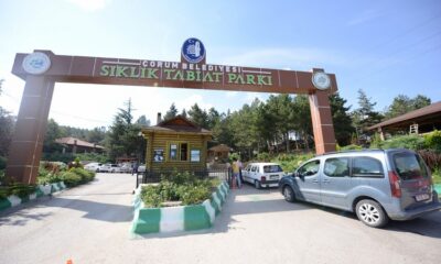 TEMİZLİK VE İLAÇLAMA YAPILACAK