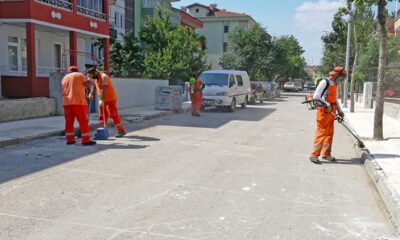 YABANİ OTLARIN TEMİZLİĞİ YAPILACAK