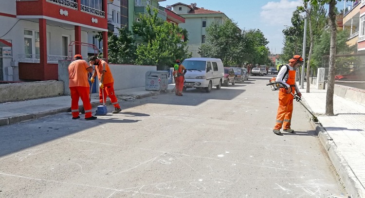 YABANİ OTLARIN TEMİZLİĞİ YAPILACAK