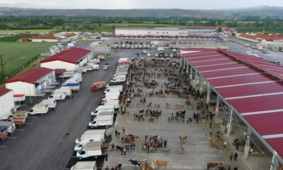 BELEDİYE’DEN KURBAN BAYRAMI TEDBİRLERİ