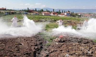 VEKTÖREL MÜCADELE DEVAM EDİYOR