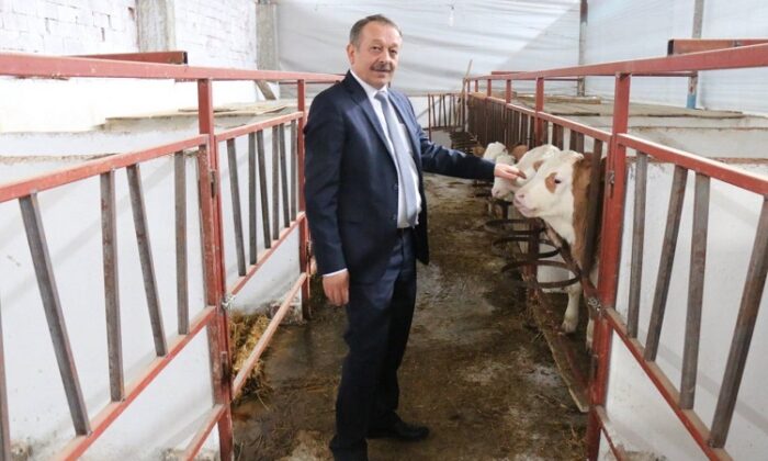 HAYVANCILIĞIN GELİŞİMİ ARİ İŞLETMELERDE