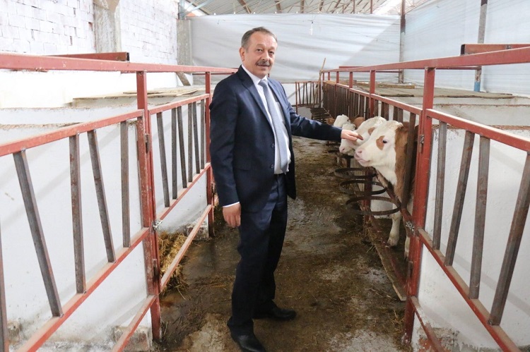 HAYVANCILIĞIN GELİŞİMİ ARİ İŞLETMELERDE