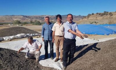 KURUYEMİŞÇİLERİN TERCİHİ ÇORUM ÇEKİRDEĞİ
