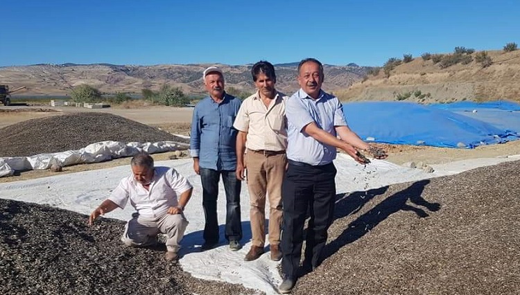 KURUYEMİŞÇİLERİN TERCİHİ ÇORUM ÇEKİRDEĞİ