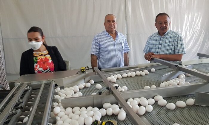 ÇORUM YUMURTA SEKTÖRÜNDE ÖNCÜ