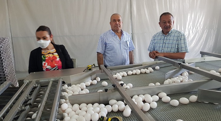 ÇORUM YUMURTA SEKTÖRÜNDE ÖNCÜ