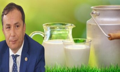 ÇİĞ SÜT PRİM DESTEKLERİ ÖDENECEK