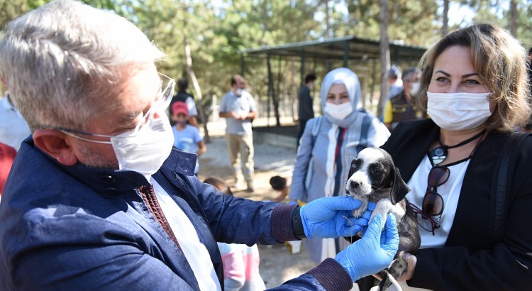 HAYVANLARI KORUMA GÜNÜ KUTLANDI