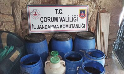ÇORUM JANDARMASINDAN BÜYÜK BAŞARI