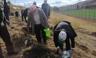 BAYAT’DA AĞAÇLANDIRMA SEFERBERLİĞİNE DESTEK