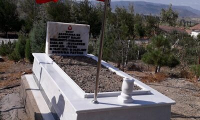 ŞEHİT MEZARLARINA BAKIM YAPILDI