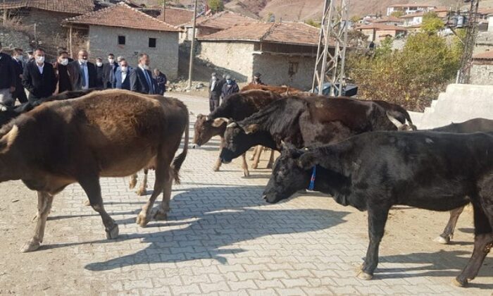 ÇORUM’A 1 MİLYON LİRA HİBE DESTEĞİ