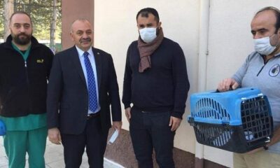 BAŞKAN İSBİR GÖNÜLLERİ FETHETTİ