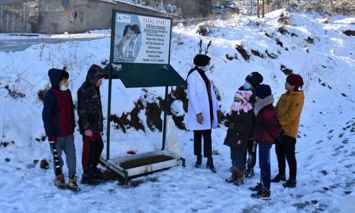 SOKAK HAYVANLARI UNUTULMADI