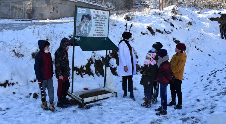SOKAK HAYVANLARI UNUTULMADI