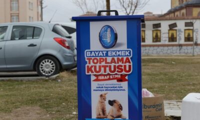 SOKAK HAYVANLARI AÇ KALMAYACAK