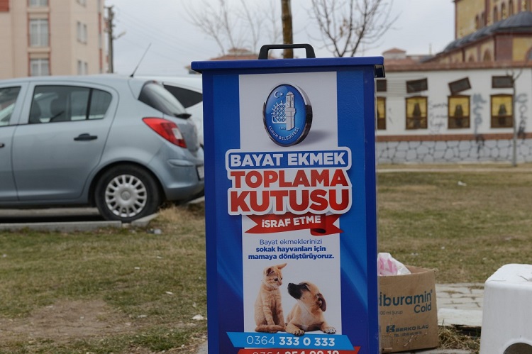 SOKAK HAYVANLARI AÇ KALMAYACAK