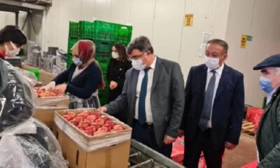 ÇORUM’DAN 12 ÜLKEYE İHRACAT