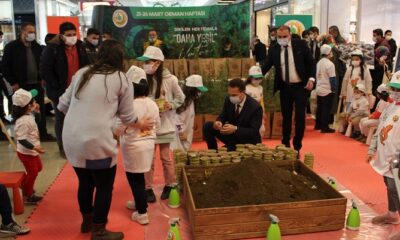 AHL PARK’TA FİDAN DAĞITILDI