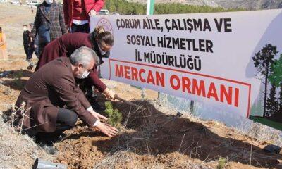 MERCAN HATIRA ORMANINA FİDAN DİKİLDİ
