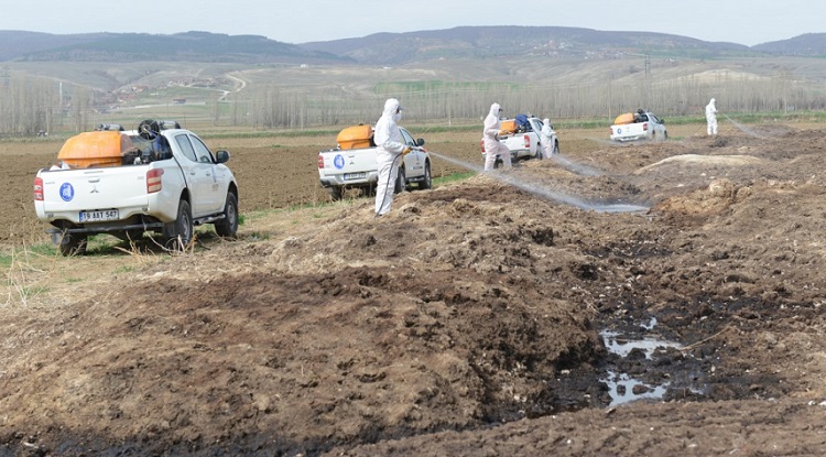 KARA SİNEK İLE KAYNAĞINDA MÜCADELE