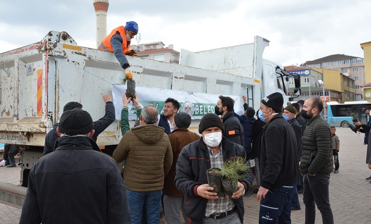 ALACA BELEDİYESİ FİDAN DAĞITTI