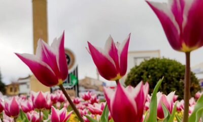 YARIŞMA BAŞVURUSU 31 MAYIS’A UZATILDI
