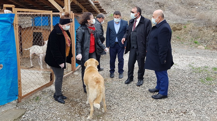 SOKAK HAYVANLARINA SAHİP ÇIKIYORUZ