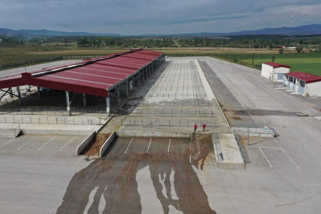 HAYVAN PAZARI AÇILDI