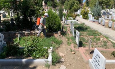 MEZARLIKLARDA TEMİZLİK YAPILDI