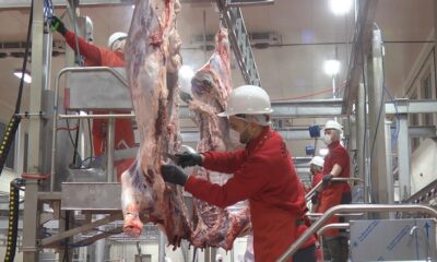 KURBAN KESİM YERLERİ BELİRLENDİ