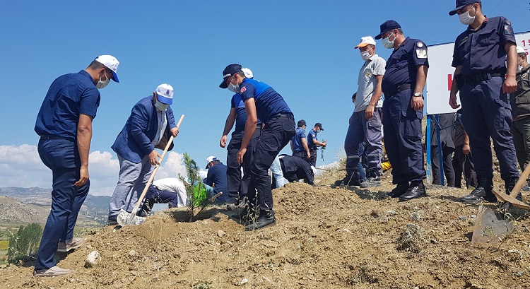 15 TEMMUZ ŞEHİTLERİ HATIRA ORMANI