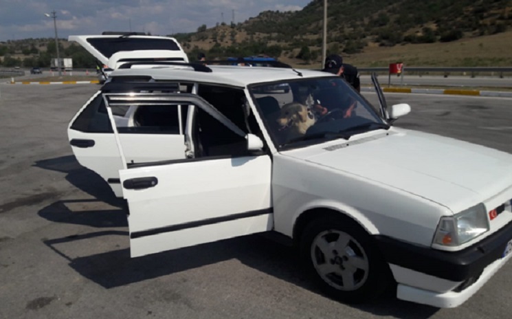 JANDARMA OPERASYONUNDA YAKALANDILAR