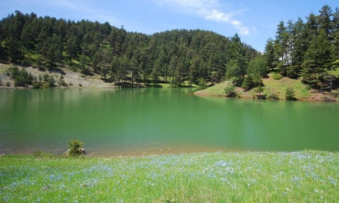 ÇORUM’UN YENİ TABİAT PARKI OLDU