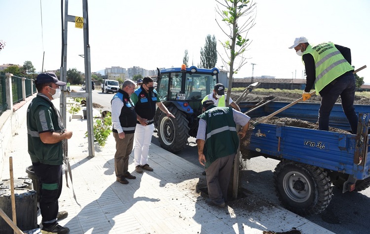 ÇORUM DAHA YEŞİL OLACAK