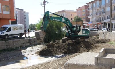 DSİ EKİPLERİ DERELERİ TEMİZLİYOR