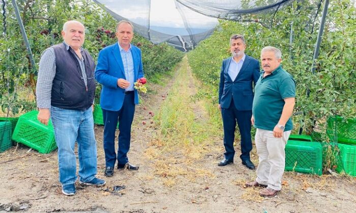 ÇORUM’DAN 14 ÜLKEYE ELMA İHRACATI!