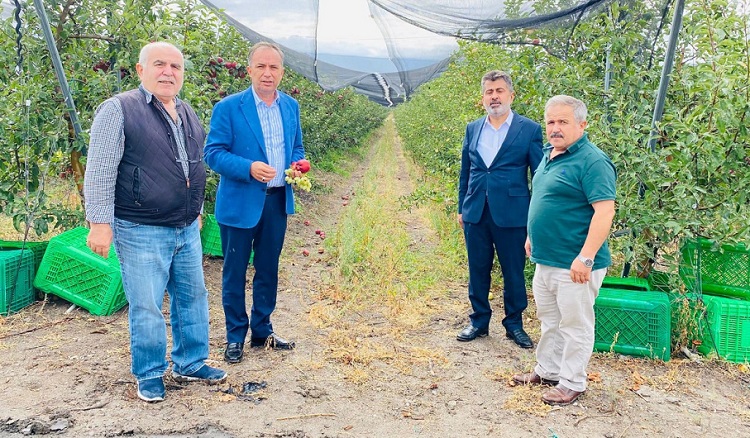 ÇORUM’DAN 14 ÜLKEYE ELMA İHRACATI!