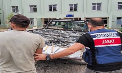 HIRSIZLAR JANDARMA’DAN KAÇAMADI