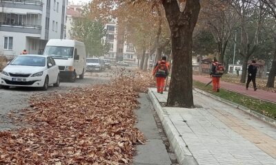 MINTIKA TEMİZLİĞİ DEVAM EDİYOR