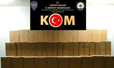 GÜMRÜK KAÇAĞI MAKARONLAR ELE GEÇİRİLDİ