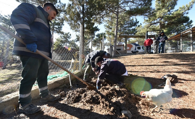BAKIMEVİNİN ETRAFI GÜZELLEŞTİRİLİYOR