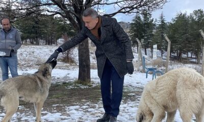 SOKAK HAYVANLARINI BESLEDİLER