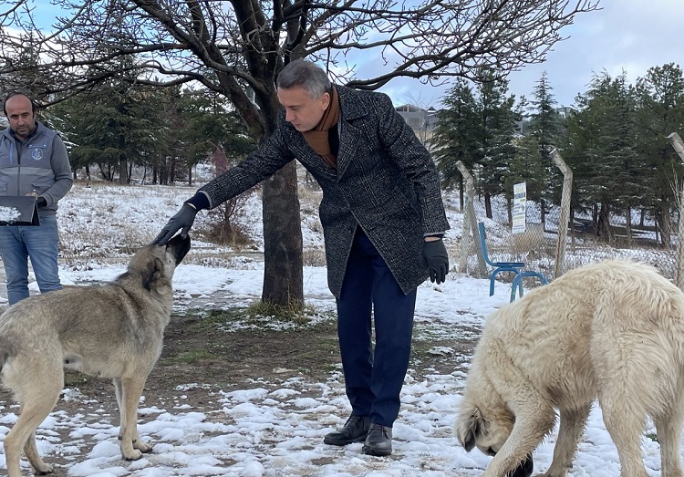 SOKAK HAYVANLARINI BESLEDİLER